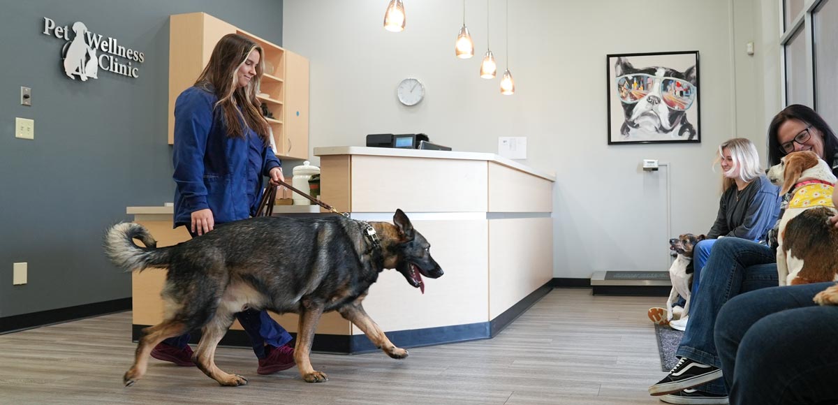 Noblesville Pet Wellness Clinic - Lobby