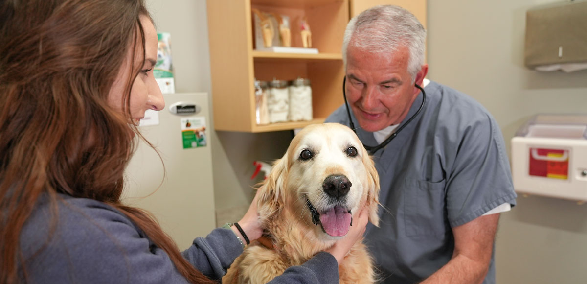 Noblesville Pet Wellness Clinic - DogVet