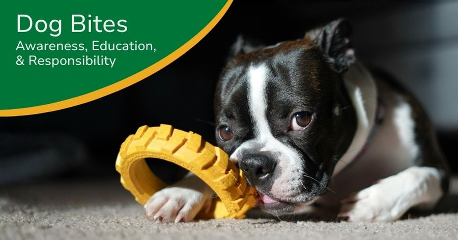 Dog Bite Prevention Week