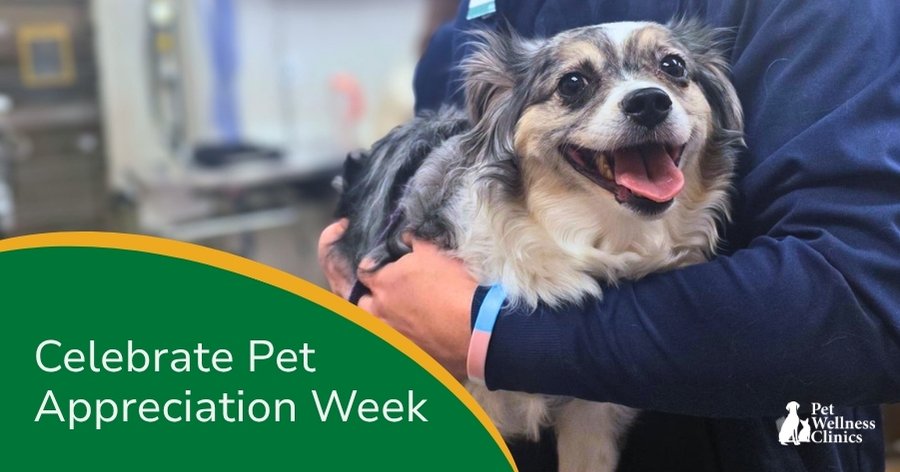 Celebrate Pet Appreciation Week