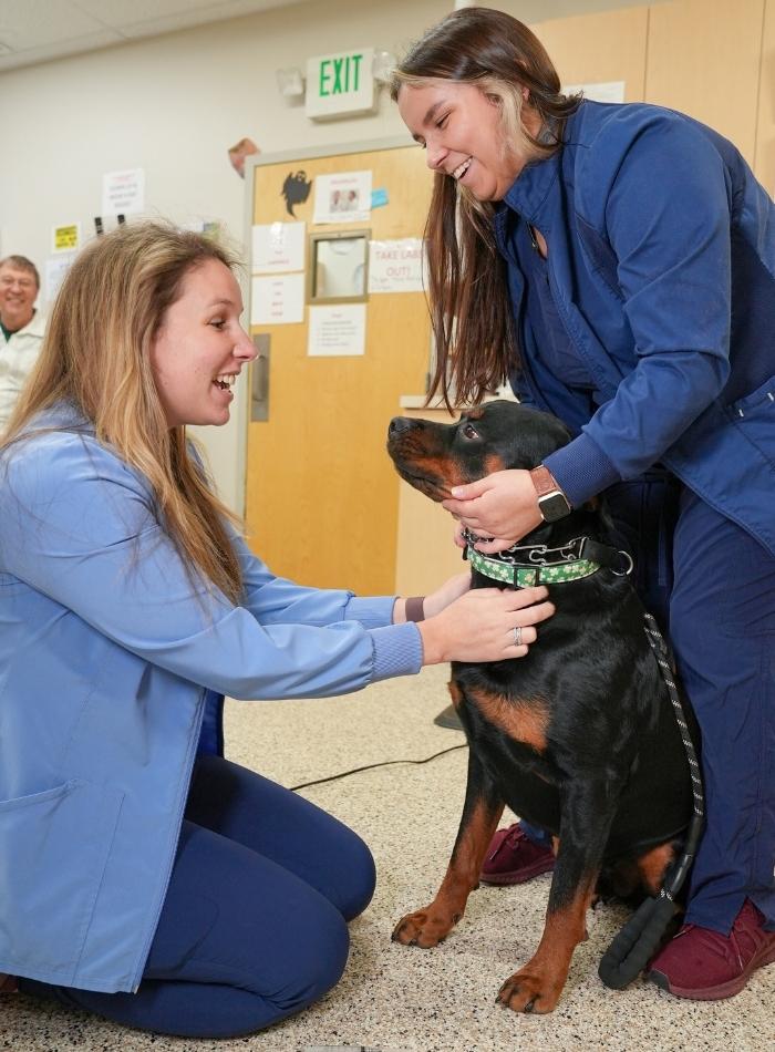 Find Veterinarian careers in Indianapolis