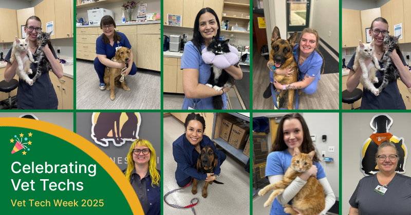 Celebrating National Vet Tech Week