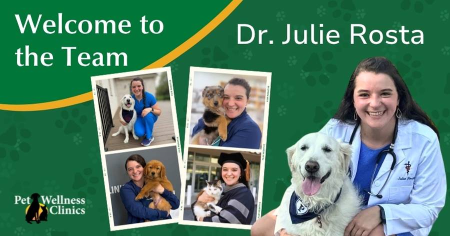 Welcome Dr. Julie Rosta to Pet Wellness Clinics!