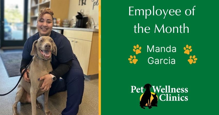 Manda Garcia ~ Employee of the Month