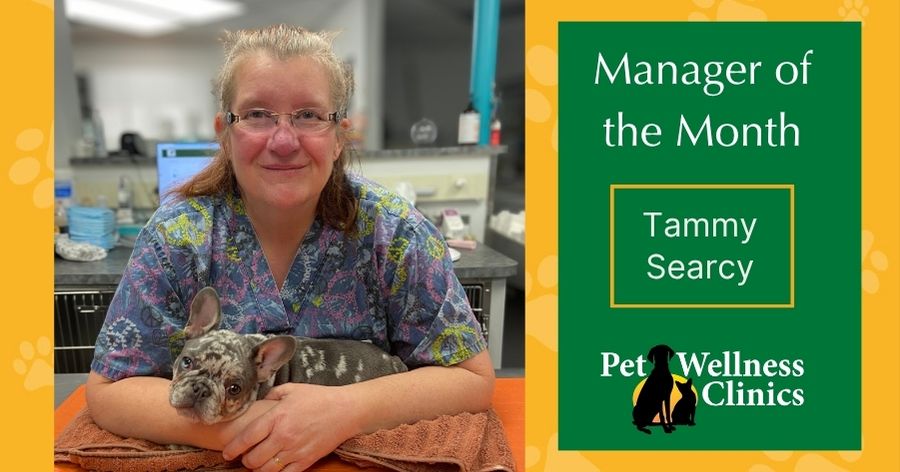 Manager of the Month ~ Tammy Searcy