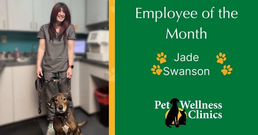 Jade Swanson ~ Employee of the Month