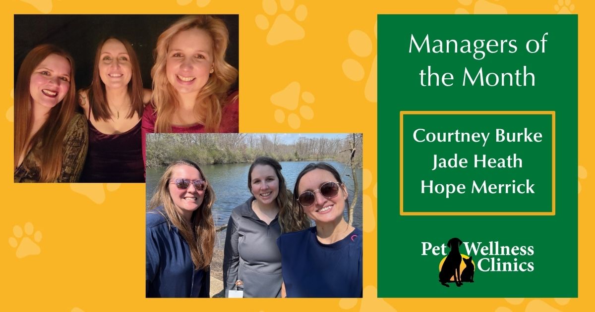 Managers of the Month: Celebrating Jade Heath, Hope Merrick & Courtney Burke