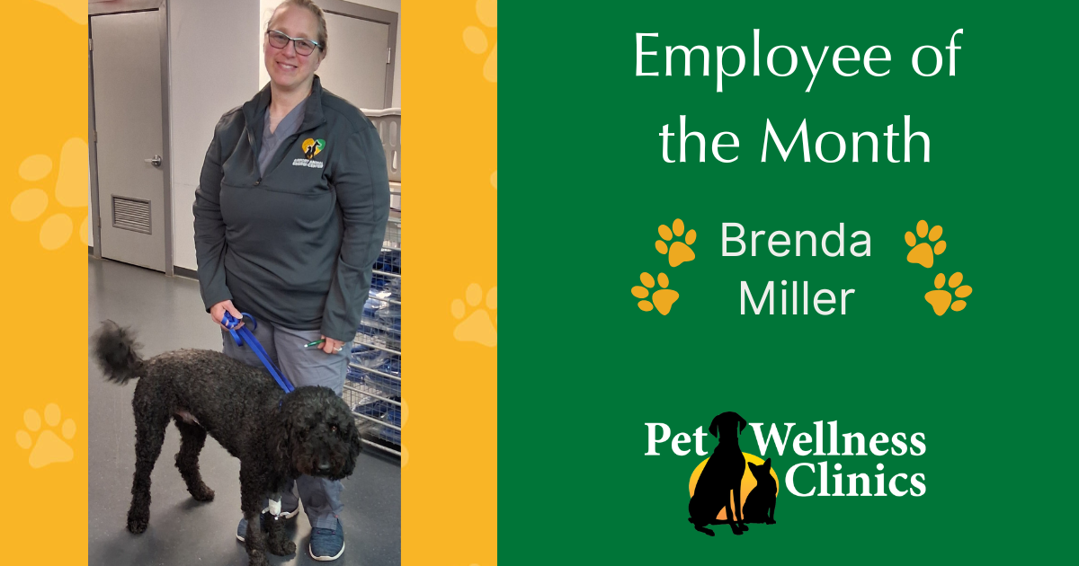 Brenda ~ Employee of the Month