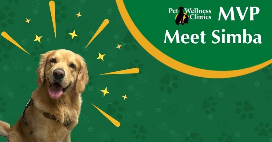 Meet Simba! June’s MVP