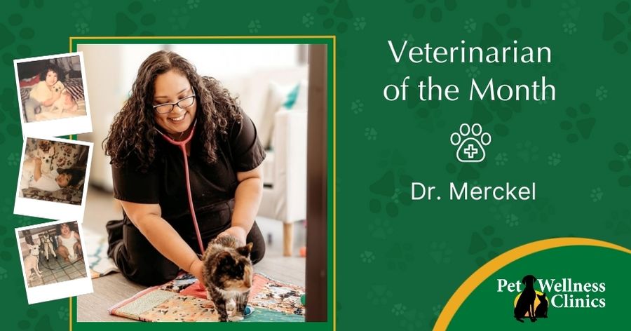 Dr. Jennifer Merckel ~ Vet of the Month
