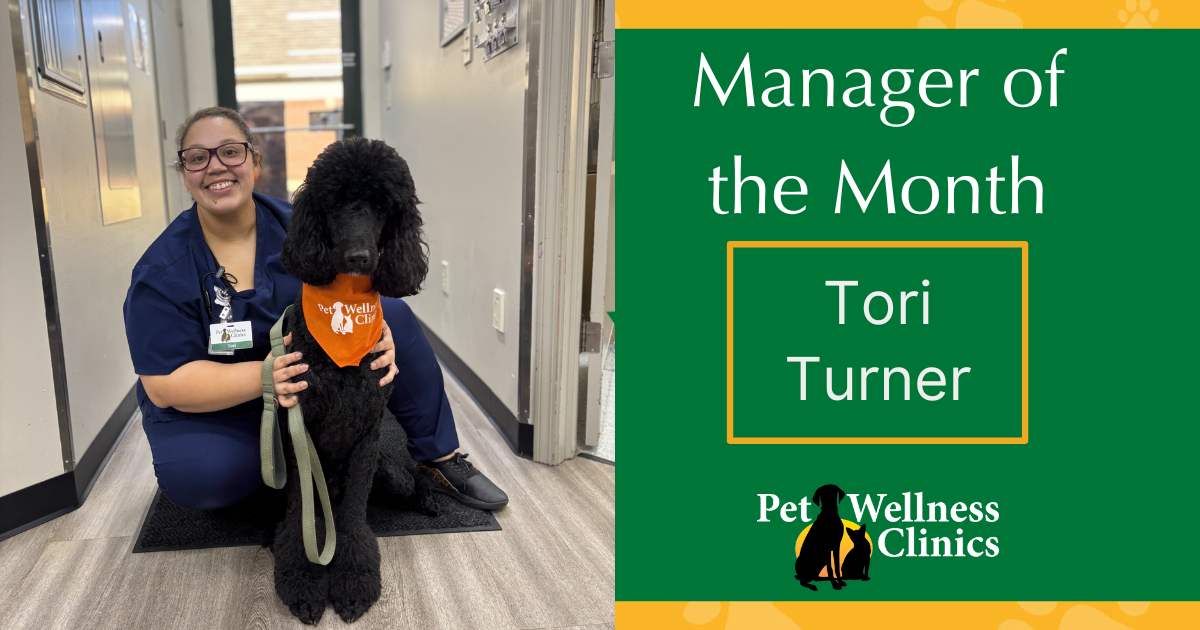 Manager of the Month ~ Tori Turner