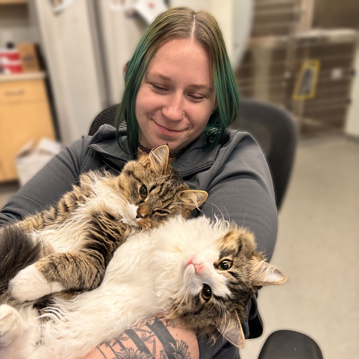 Indianapolis Veterinarian & Dog