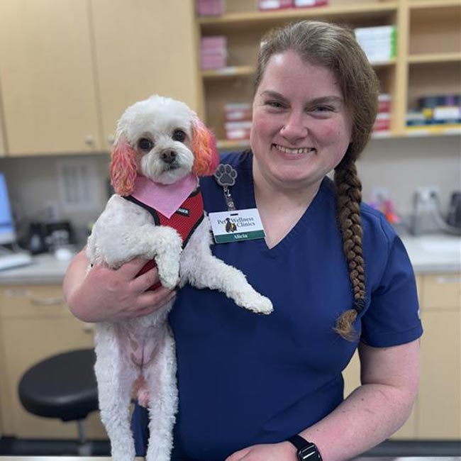 Ingalls Pet Wellness Clinic - Dog Vet