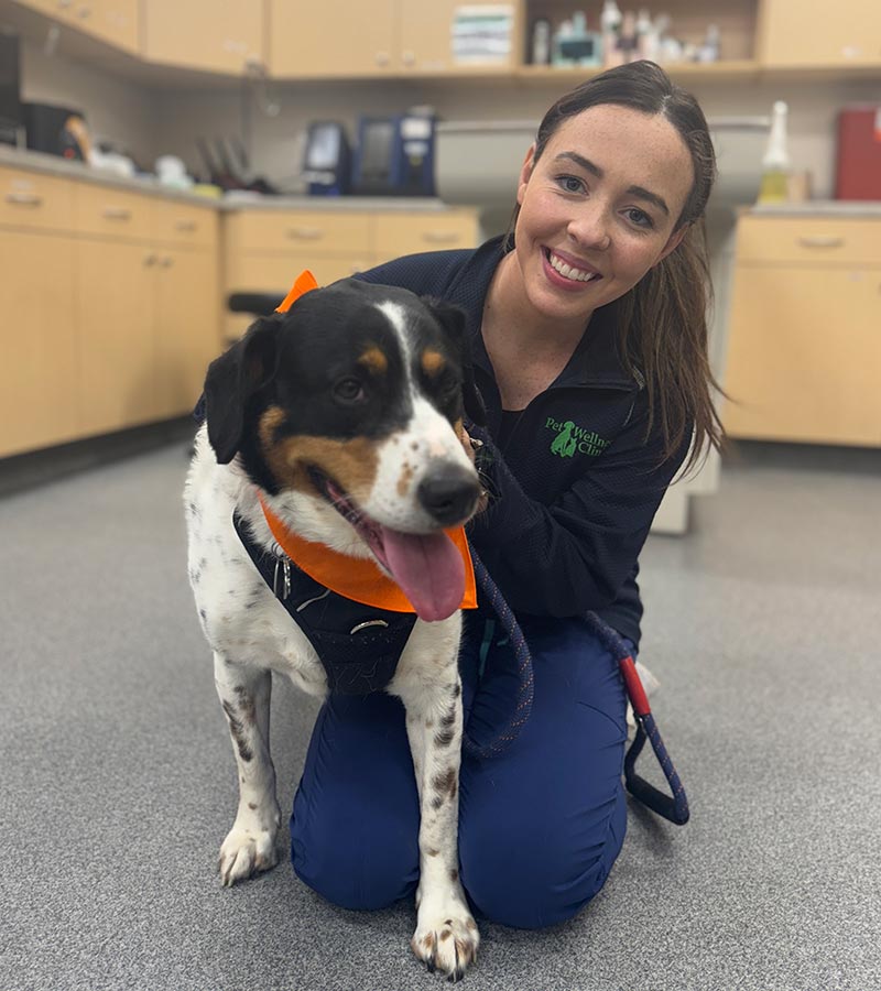 Ingalls Veterinarians