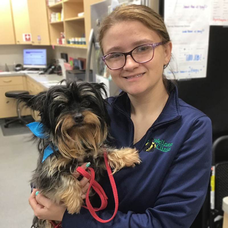 Ingalls Pet Wellness Clinic - Dog Vet