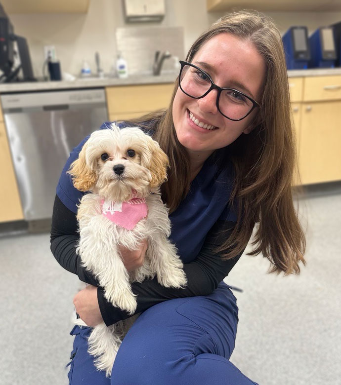 Springmill Veterinarian