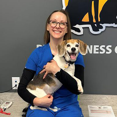 Avon Pet Wellness Clinic - Dog Care