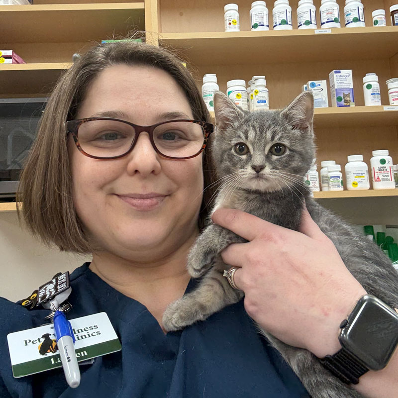 Avon Pet Wellness Clinic - Cat Vet Care