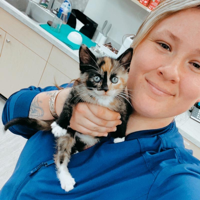 Avon Pet Wellness Clinic - Team