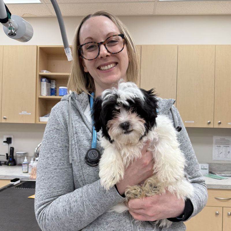 Avon Pet Wellness Clinic - Team