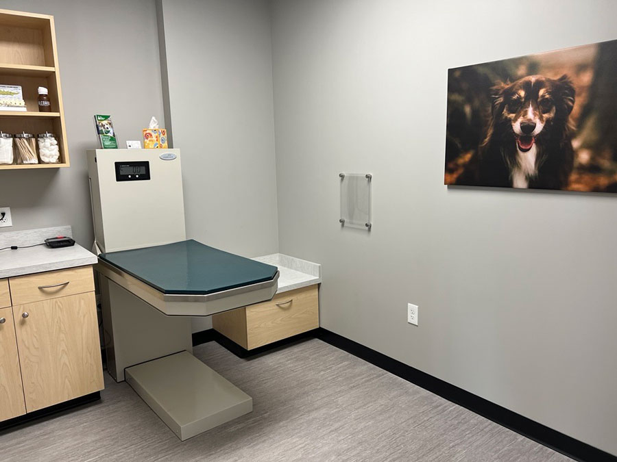 Southport Dog Veterinarian