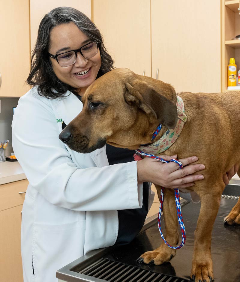 Brownsburg Veterinarian