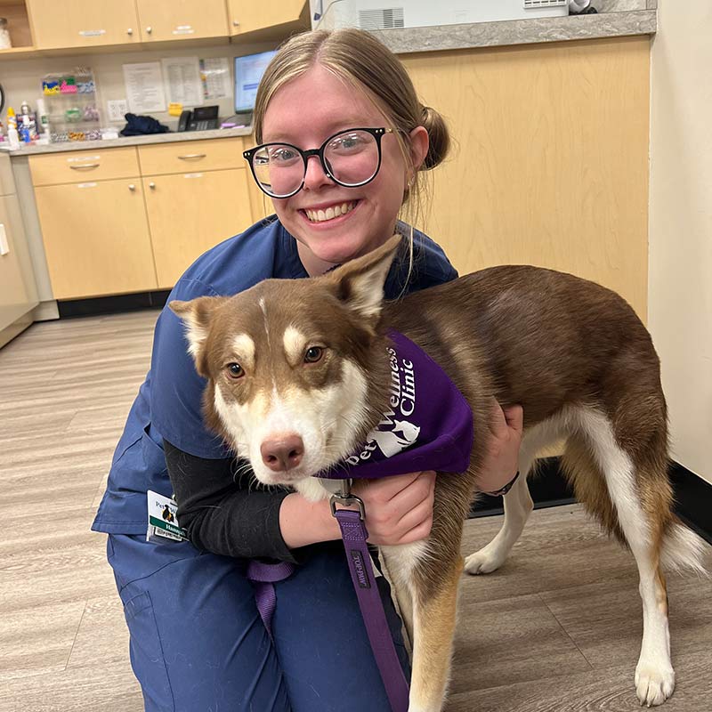 Brownsburg Pet Wellness Clinic - Puppy Care