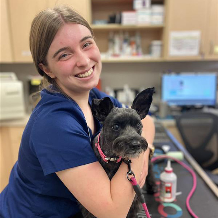 College Park Pet Wellness Clinic - Dog Vet